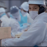 Mato Grosso tem frigorífico habilitado para exportar carne bovina à Indonésia