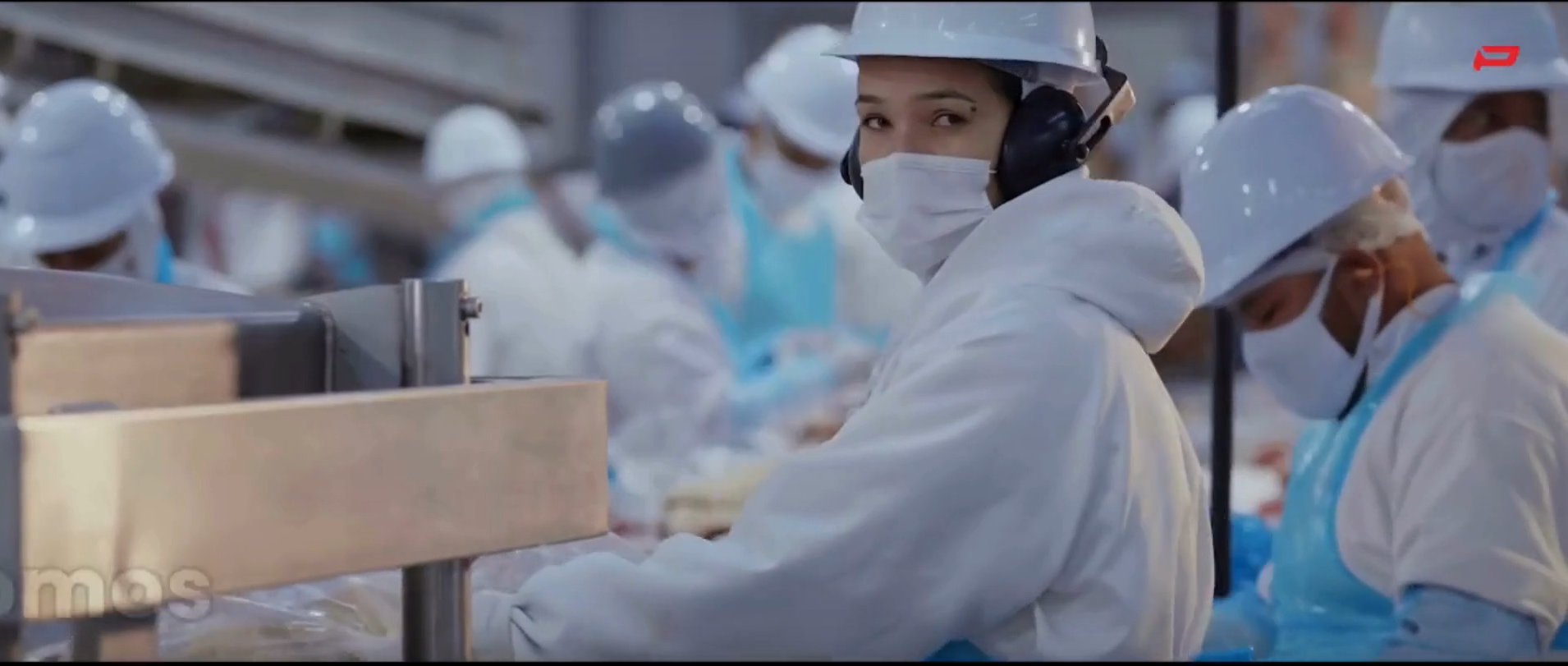 Mato Grosso tem frigorífico habilitado para exportar carne bovina à Indonésia